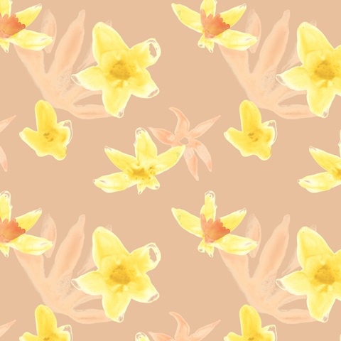 Narcissus Fresco Collection H