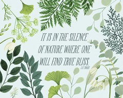 Natural Bliss Collection A