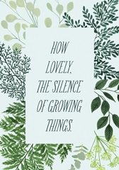 Natural Bliss Collection B