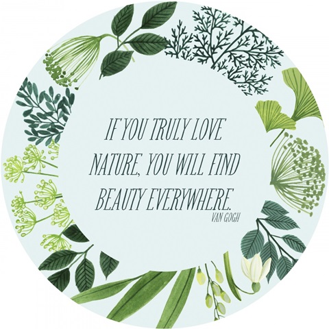 Natural Bliss Collection C