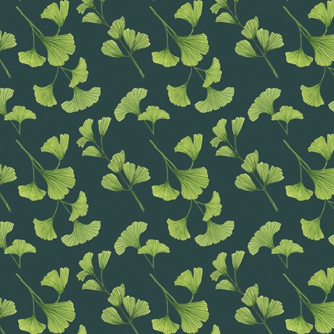 Natural Bliss Collection G