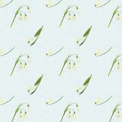 Natural Bliss Collection H