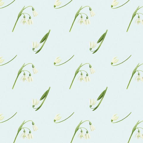 Natural Bliss Collection H