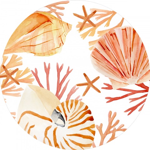 Nautilus Grouping Collection C