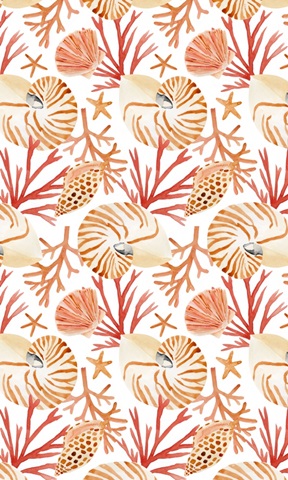 Nautilus Grouping Collection E