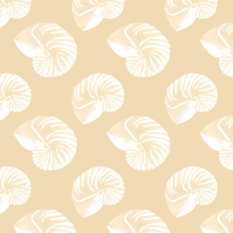 Nautilus Grouping Collection F