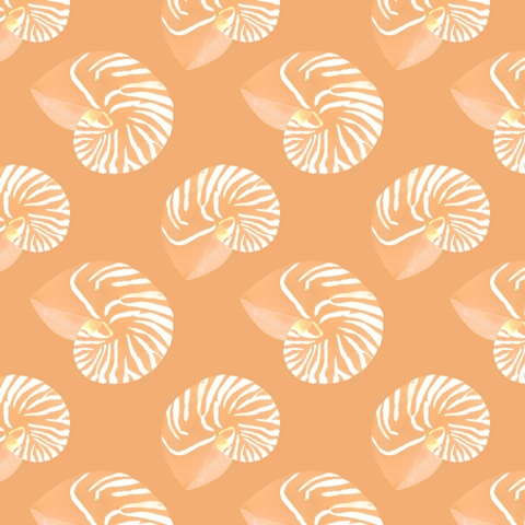 Nautilus Grouping Collection G