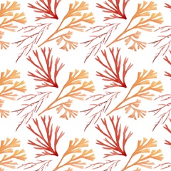 Nautilus Grouping Collection H