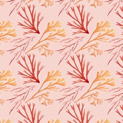 Nautilus Grouping Collection I