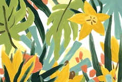 Palm Thatch Collection A