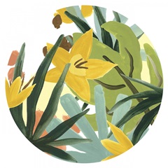 Palm Thatch Collection C