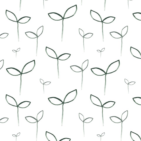 Rainbow Hope Collection H