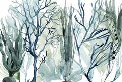 Sea Leaves Collection A