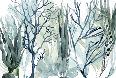 Sea Leaves Collection A