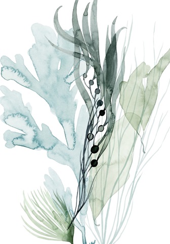 Sea Leaves Collection B