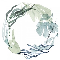 Sea Leaves Collection C