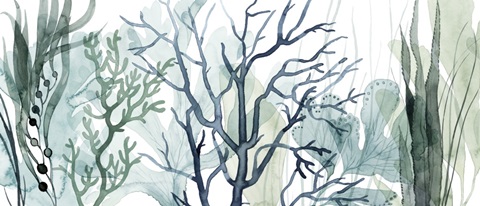 Sea Leaves Collection D