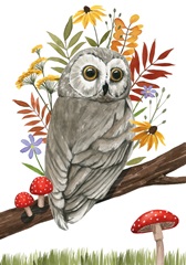 September Forest Collection B