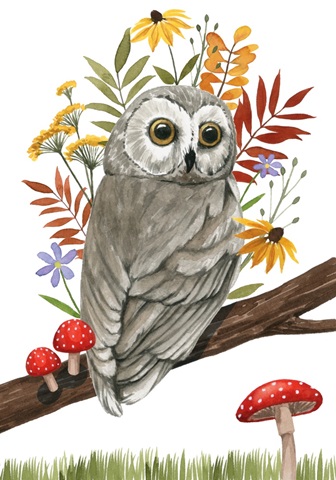 September Forest Collection B