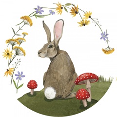 September Forest Collection C