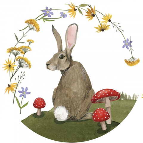 September Forest Collection C