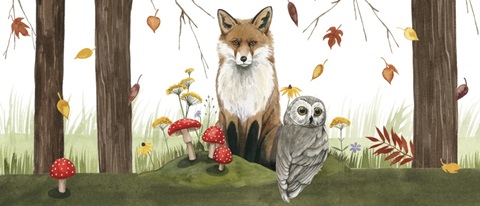 September Forest Collection D