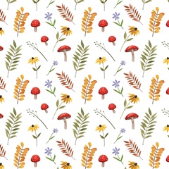 September Forest Collection F