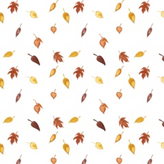 September Forest Collection H