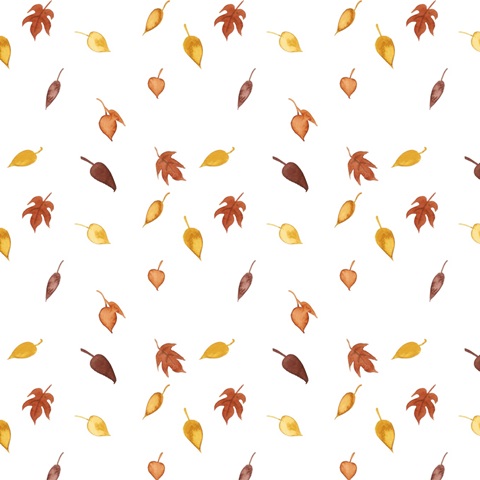 September Forest Collection H