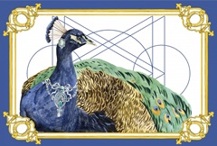 Silent Grace Collection A