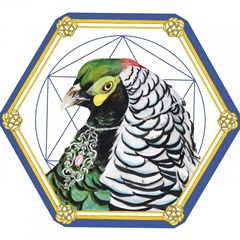 Silent Grace Collection C