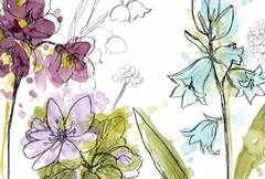 Spring Contours Collection A