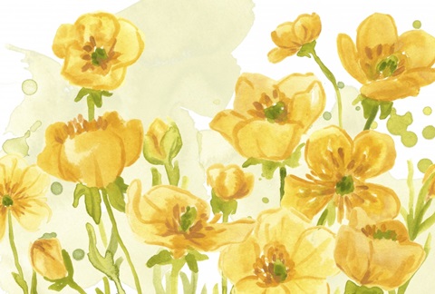 Sunshine Meadow Collection A