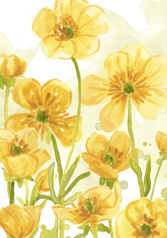 Sunshine Meadow Collection B