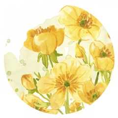 Sunshine Meadow Collection C