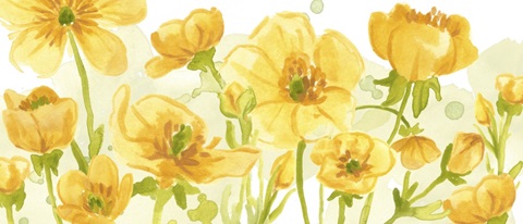 Sunshine Meadow Collection D