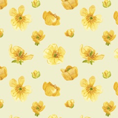 Sunshine Meadow Collection G