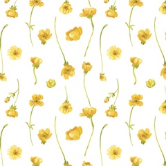 Sunshine Meadow Collection I