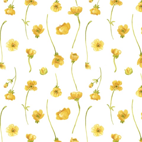 Sunshine Meadow Collection I