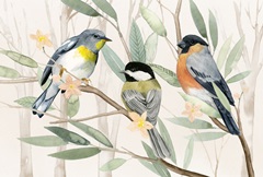 Tree Toppers Collection A