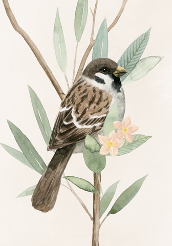 Tree Toppers Collection B