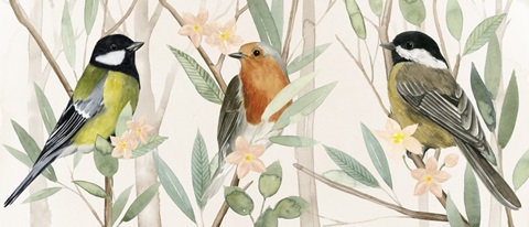 Tree Toppers Collection D