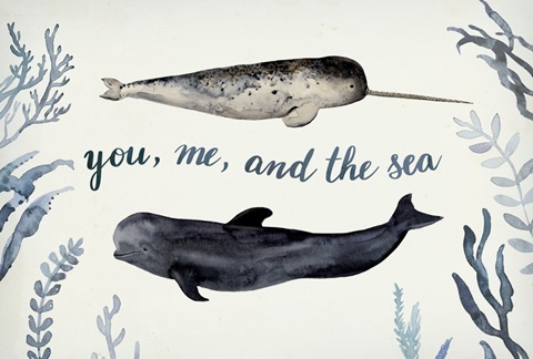 Whale Chart Collection A