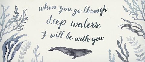 Whale Chart Collection D