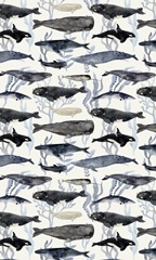 Whale Chart Collection E