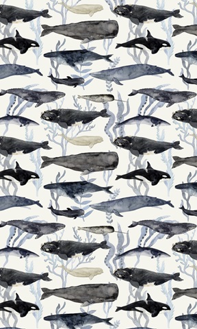 Whale Chart Collection E