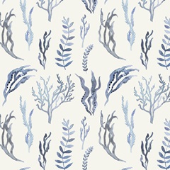 Whale Chart Collection H