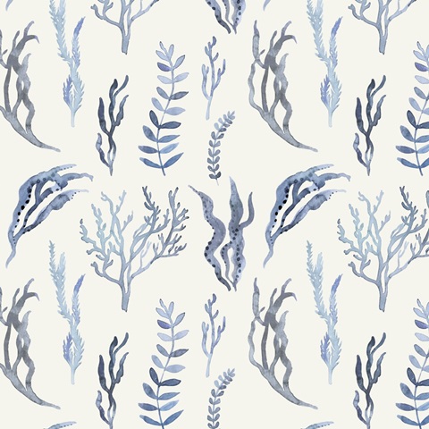 Whale Chart Collection H