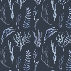 Whale Chart Collection I