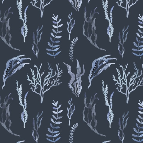 Whale Chart Collection I